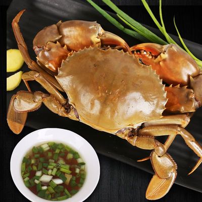 【现称改价链接 】三门青蟹 鲜甜正宗  包活包肥 顺丰 不可以冷藏