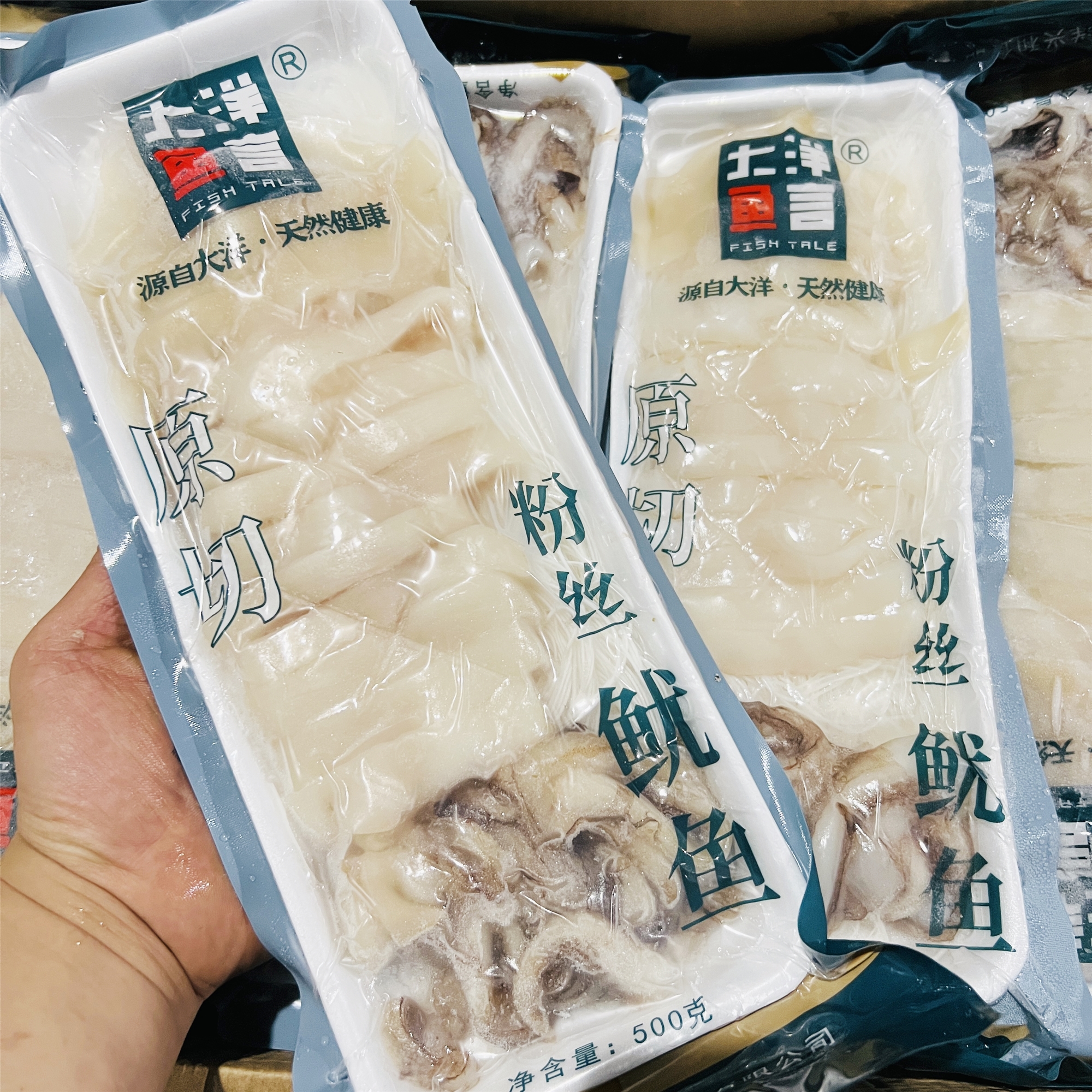 大洋兴和粉丝鱿鱼商用