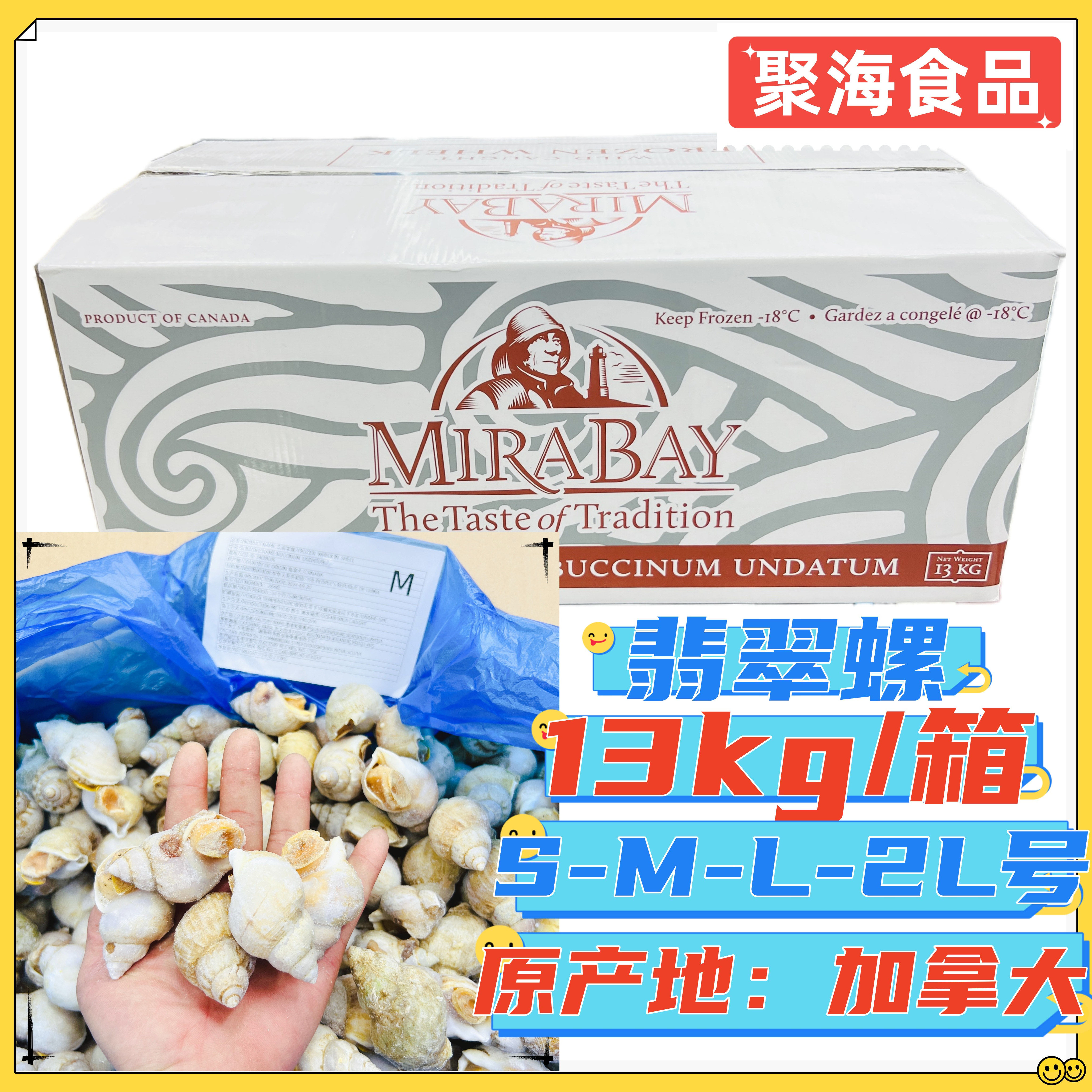 加拿大进口翡翠螺13kg/箱壳薄肉厚 干冰捞汁海鲜刺身火锅烧烤绿螺