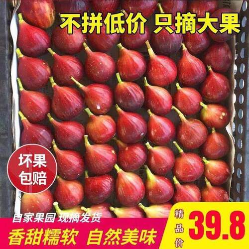新鲜无花果红色水果当季整箱大果孕妇鲜果现摘特级红皮三斤包邮