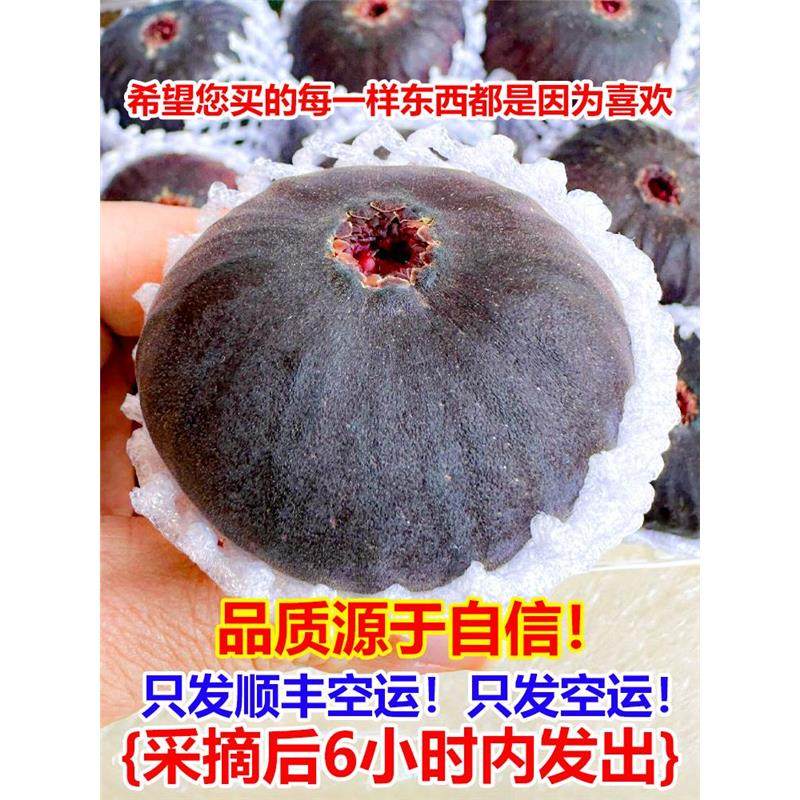 【顺丰空运】紫皮无花果9斤新鲜水果爆甜当季特级大果青红皮孕妇,水产肉类/新鲜蔬果/熟食,无花果,淘宝优惠券,粉丝福利购,淘宝优惠卷