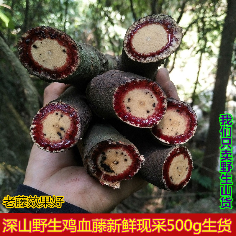 中草药新鲜鸡血藤现采小血藤500g血风藤五味子小叶鸡血藤滋补汤料