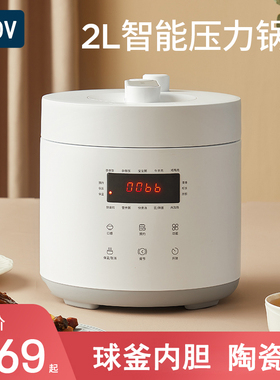 110V伏电高压力锅2.5L升出口美国加拿大日本出国小家电迷你电饭煲