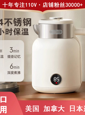110V电热烧水壶开水壶家用小型便携式保温一体出口美国台湾小家电