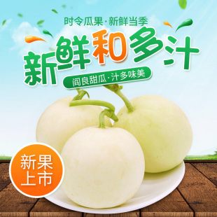 陕西阎良甜瓜新鲜甜瓜当季时令新鲜白皮香瓜水果整箱包邮