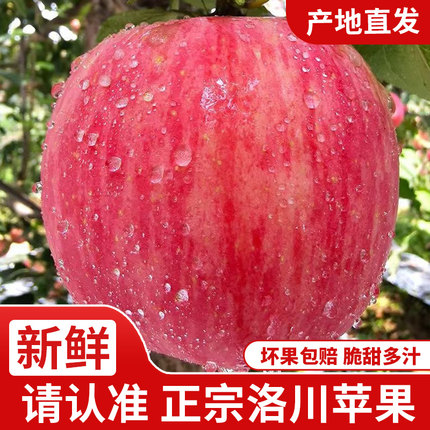 正宗洛川苹果陕西红富士苹果新鲜水果当季整箱不打蜡产地直发