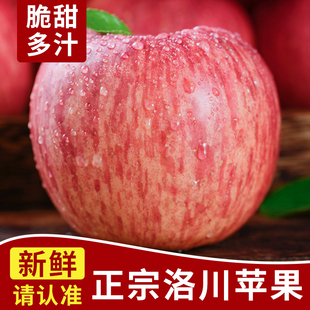 正宗洛川苹果陕西红富士苹果新鲜水果当季 整箱不打蜡产地直发