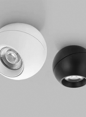 定制LED智能灯具嵌入式筒10mm宽板灯带明装射灯涂鸦网关0-10VDALI