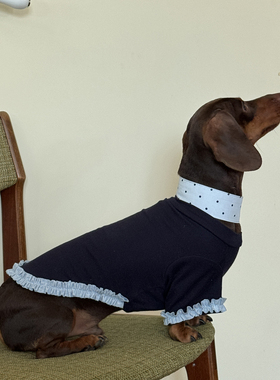 POXFFEE Pet/狗狗衣服秋冬人宠亲子装条西高地腊肠雪纳瑞宠物衣服