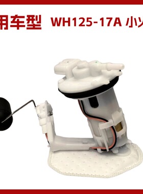 适用于五羊本田凯影小火箭WH125-17/17A/17B/17C燃油汽油泵总成