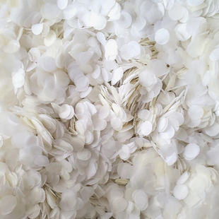 2.5cm圆形拷贝纸清脆的白色五彩纸屑婚纱主题款抛洒拍照背景装饰