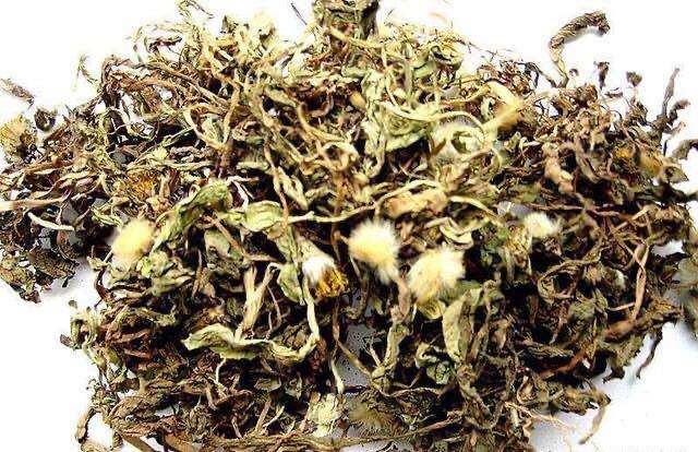 干新鲜新货花茶250克蒲公英