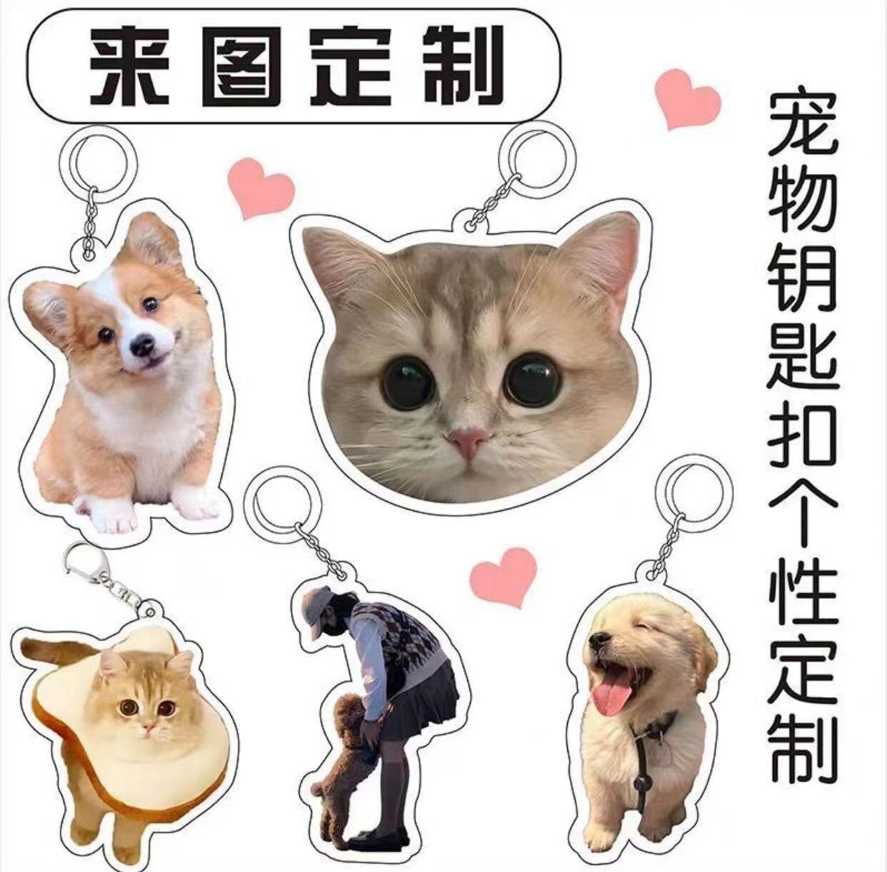宠物照片泰迪钥匙扣亚克力定制软萌治愈可爱小狗狗猫咪包包挂件