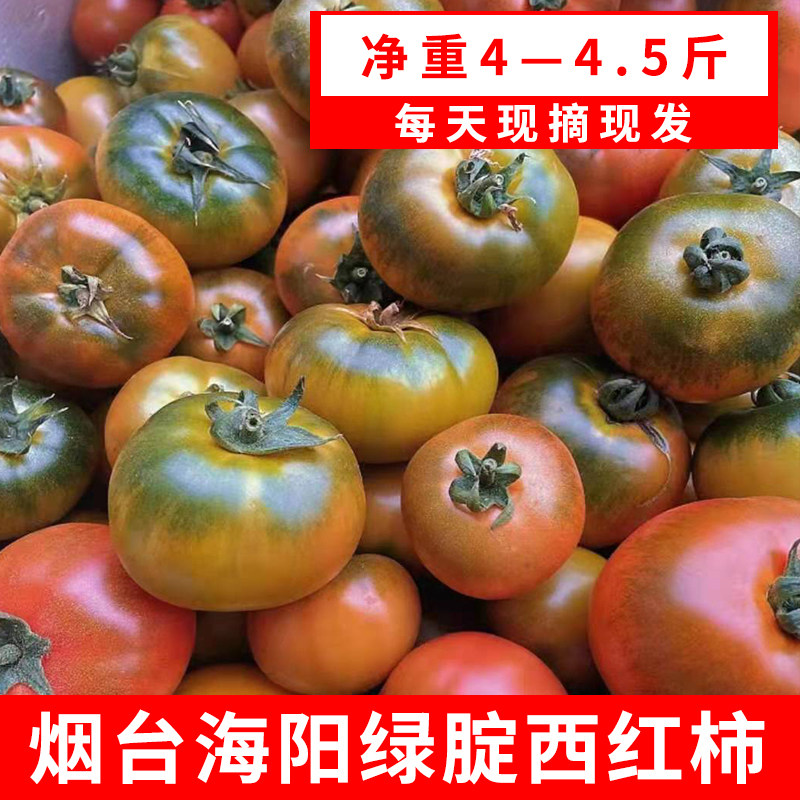 烟台海阳草莓绿腚西红柿酸甜多汁