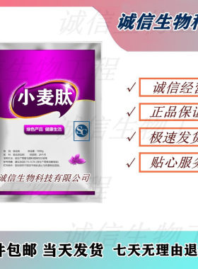 供应 小麦低聚肽粉 食品级 小麦蛋白肽 小麦肽小分子低聚肽 500g