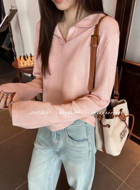 DIGM-十三行秋季简约慵懒Polo领宽松套头保暖6羊毛针织衫女A0M012