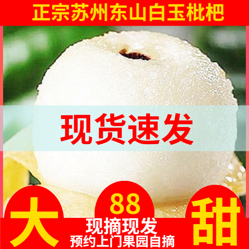 苏州东山白玉枇杷五星大果新鲜现摘超甜白沙琵琶水果礼盒塘栖800g