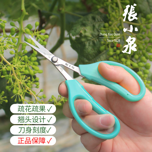 葡萄蔬果剪翘头剪刀蔬花弯头