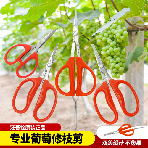 阳光玫瑰葡萄蔬果专用剪刀