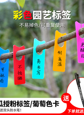 西瓜授粉记号牌葡萄保果标签植物花卉水果标识卡彩色挂吊牌环扣卡