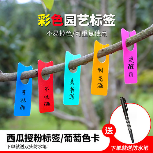 西瓜授粉记号牌葡萄保果标签