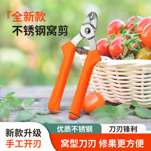 水果果柄凹形修枝剪不锈钢窝型剪