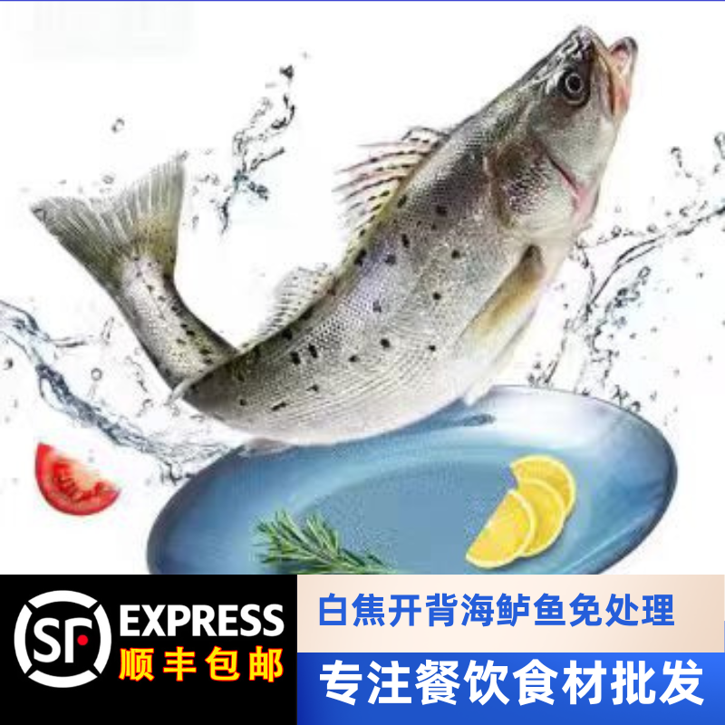 深海新鲜开背鲈鱼冷冻烤鱼半成品