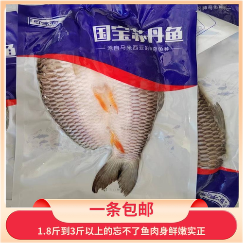 冷冻腌制开背苏丹鱼皇帝忘不了