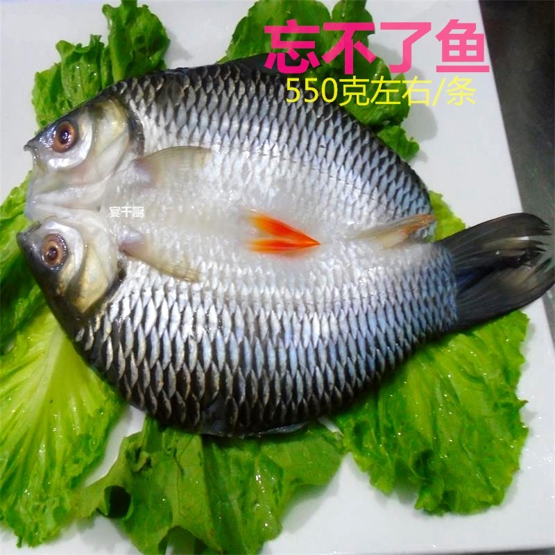 开背腌制冷冻皇帝鱼苏丹鱼忘不了鱼酒席特色菜约450克---3斤一条