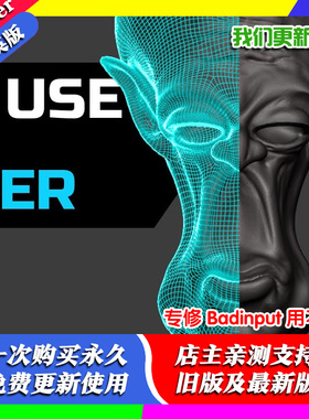 Blender插件 QuadRemesher 专修 Badinput 用不了 Bad input