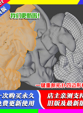 blender插件 DynRemesh 2.5.31 Autoflow 一键拓扑建模四边面模型
