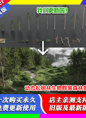 Blender资产 Dynamic Pine Biomes 1.1 96款松树林植物群森林景观