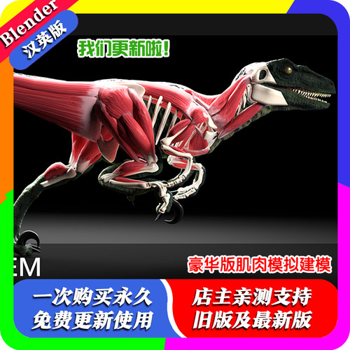 Blender插件 X-Muscle System 4.97XL豪华版肌肉模拟建模系统汉化
