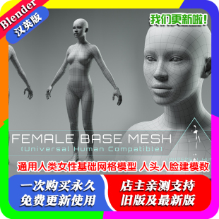 Blender模型 通用人类女性基础网格模型 2.1 人头人脸建模数字人