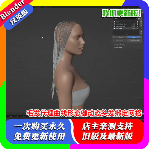 Blender插件 HairProxy 1.3毛发代理曲线形态键动态头发绑定网格