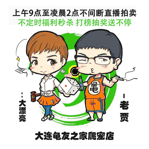 直播拍卖付款链接 - 封面