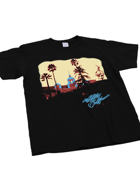 老鹰乐队vintage摇滚the who美式复古高街sonic youth黑色短袖T恤