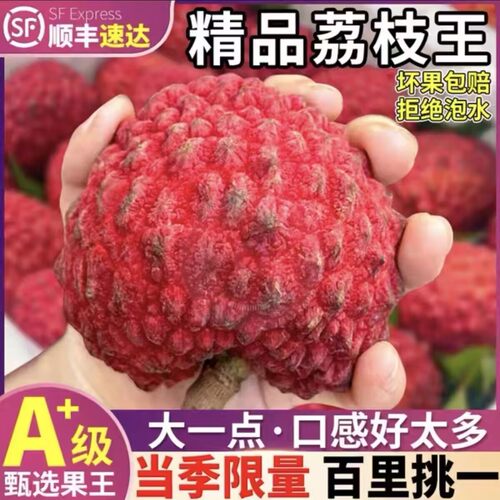 海南荔枝王大超大当季水果现摘
