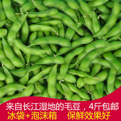 毛豆黄豆豆荚大青豆