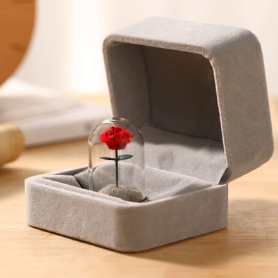 一朵小王子同款的玫瑰花