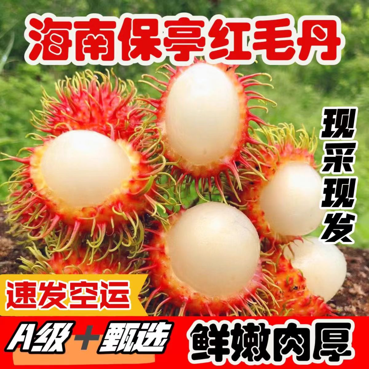 【顺丰现货】海南保亭红毛丹当季毛丹/毛荔枝