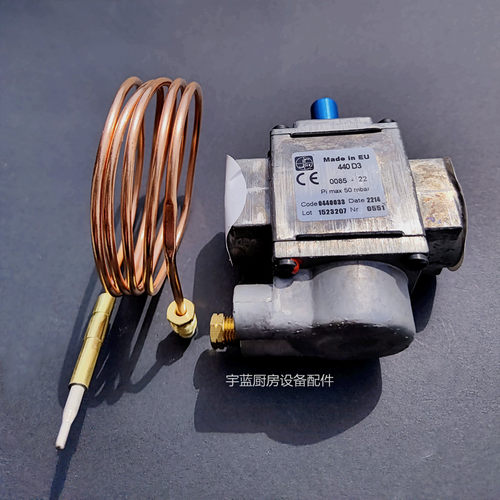 意大利SIT440D3蒸柜烤鸭炉安全制