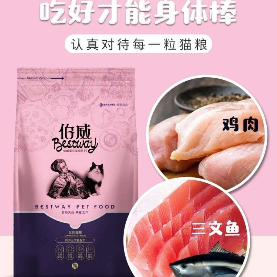 伯威渐层美短蓝白布偶通用老年猫