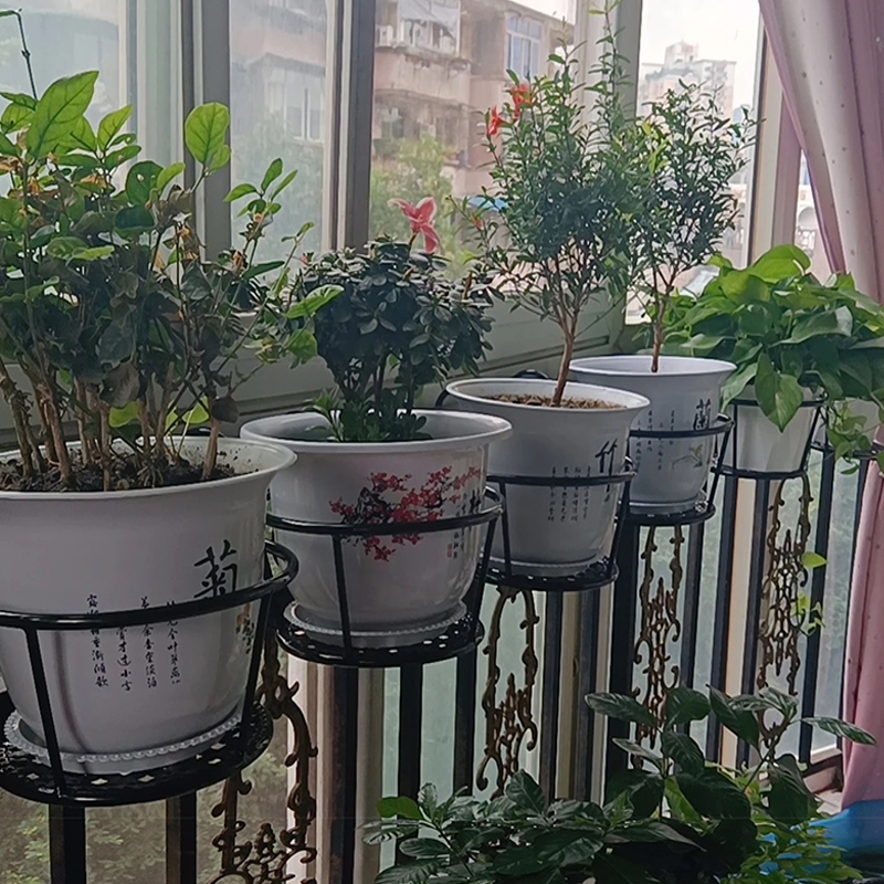 兰花专用阳台栏杆悬挂花架铁艺绿萝月季室内加高花盆架