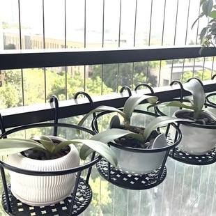 花架阳台悬挂式 铁艺花篮栏杆护栏窗台绿萝吊兰花盆架家用置物挂架