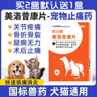 美洛昔宠物用止疼片关节狗狗消炎止痛药喵咪骨折镇痛康片绝育术后