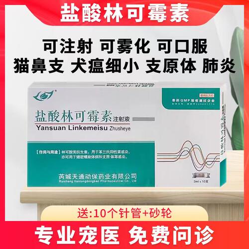 宠物狗猫林可霉素注射液雾化治疗犬瘟感冒咳嗽猫鼻支针药犬毒必治