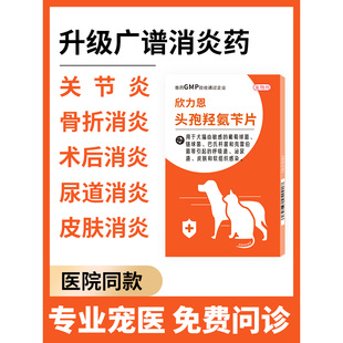 头孢羟氨苄片宠物狗狗猫咪感冒流鼻涕皮肤炎尿路感染外伤用消炎药