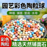 彩色陶粒顆粒養(yǎng)花水培專用墊底