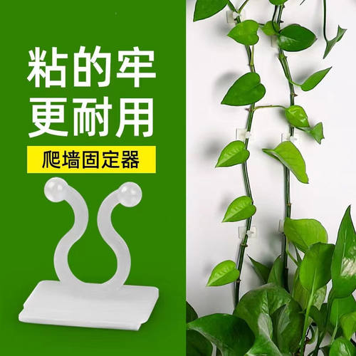 绿萝爬墙固定器绿植攀爬绿植爬墙神器夹子墙上无痕挂钩粘爬藤杆子